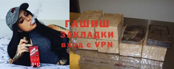 шишки Лабытнанги