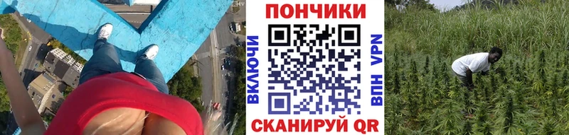 Шишки марихуана Ganja купить наркотик блэк спрут маркетплейс Большой Камень